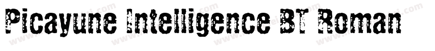 Picayune Intelligence BT Roman字体转换
